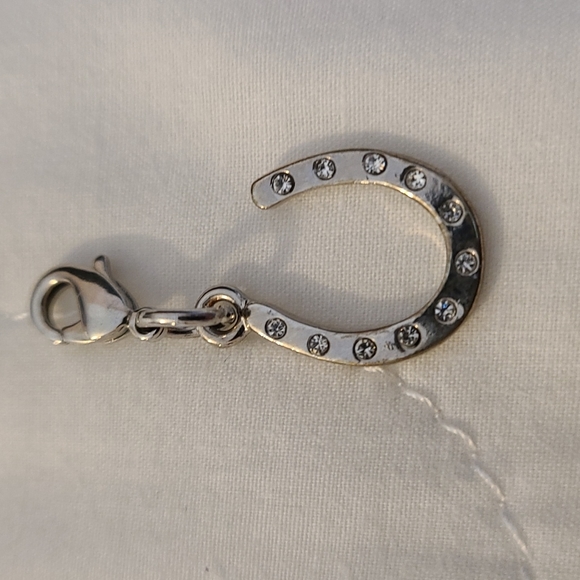 Lucky charms: Horseshoe and 4 leaf clover with crystals - Picture 9 of 15